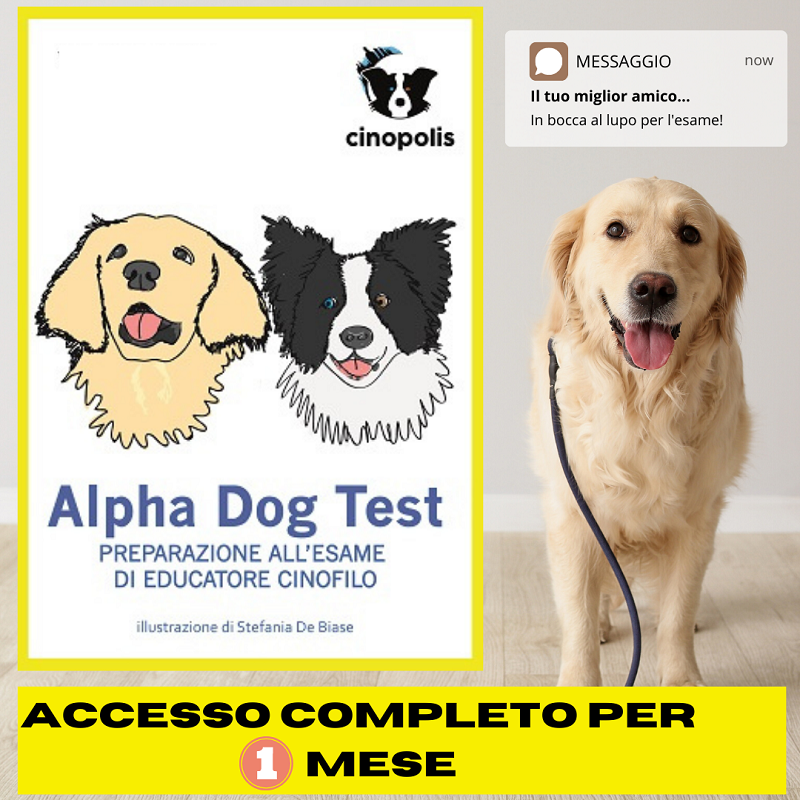 Alpha Dog Test - Accesso mensile
