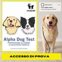 Prova Alpha Dog Test